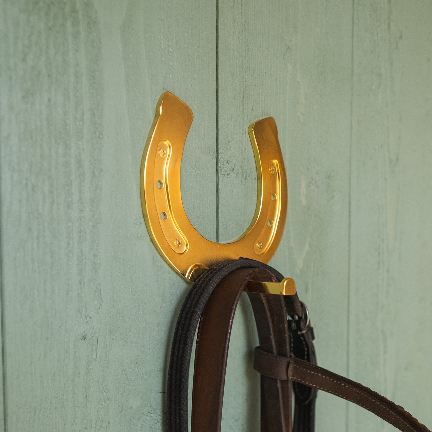 Horse Shoe CAD Model