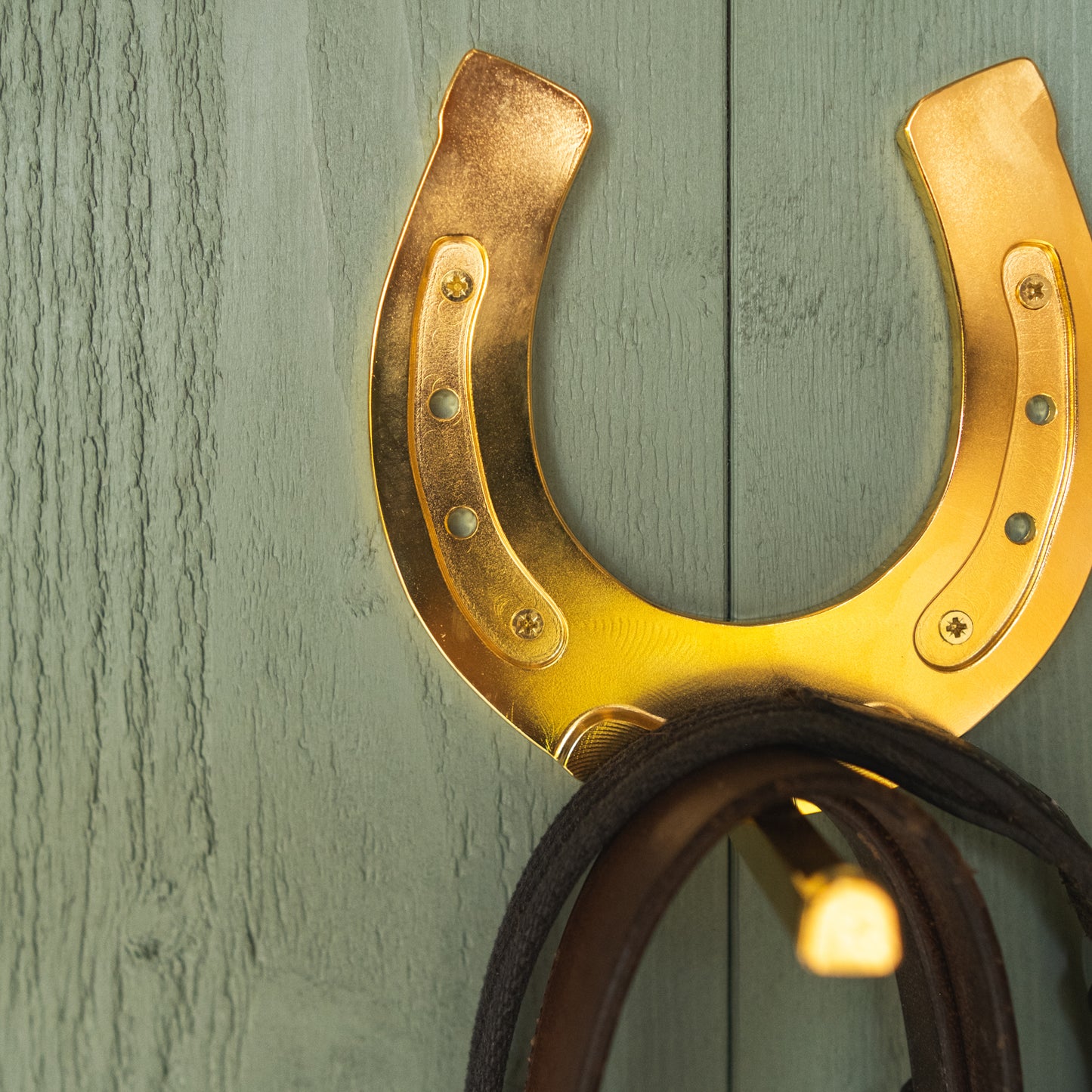 Horse Shoe CAD Model