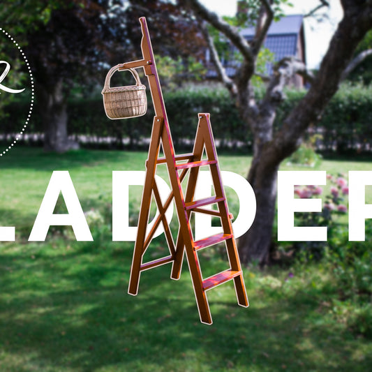 Folding Ladder